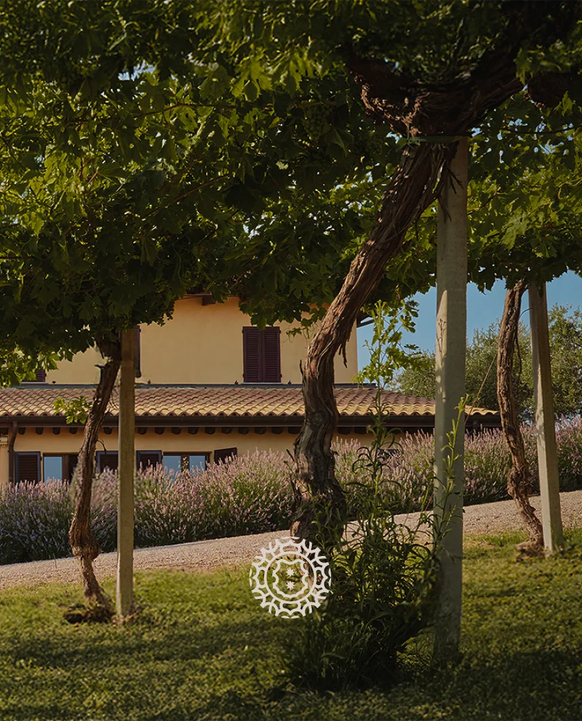 Orlandi Contucci Ponno