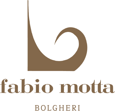 Fabio Motta logo
