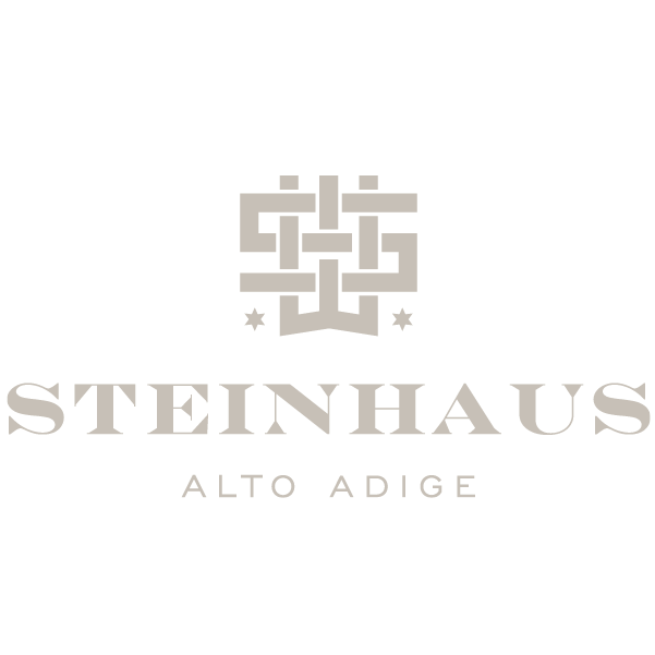 Steinhaus logo